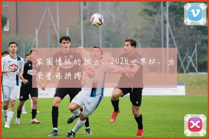 家国情怀的担当,2026世界杯,为荣誉而拼搏!