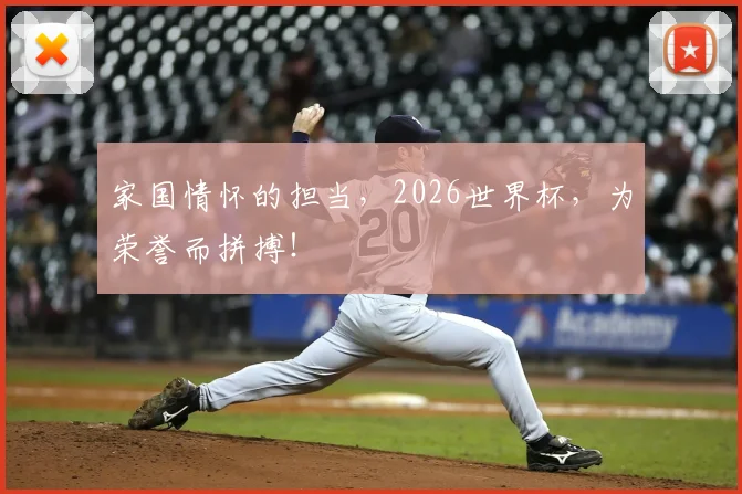 家国情怀的担当,2026世界杯,为荣誉而拼搏!