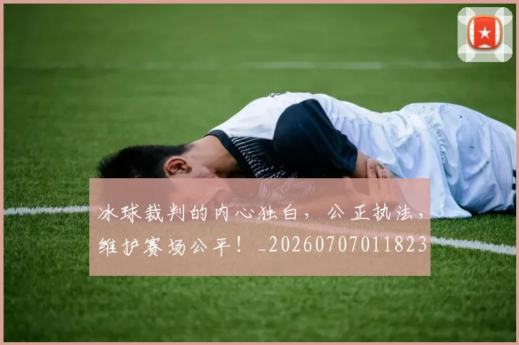 冰球裁判的内心独白,公正执法,维护赛场公平!_20260707011823
